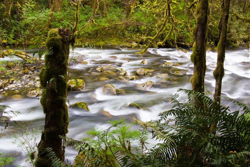 The Wallace River